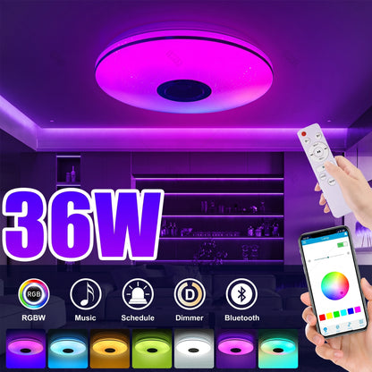 Premium RGB Smart Ceiling Light with Bluetooth Speaker | Dimmable Starlight Lamp