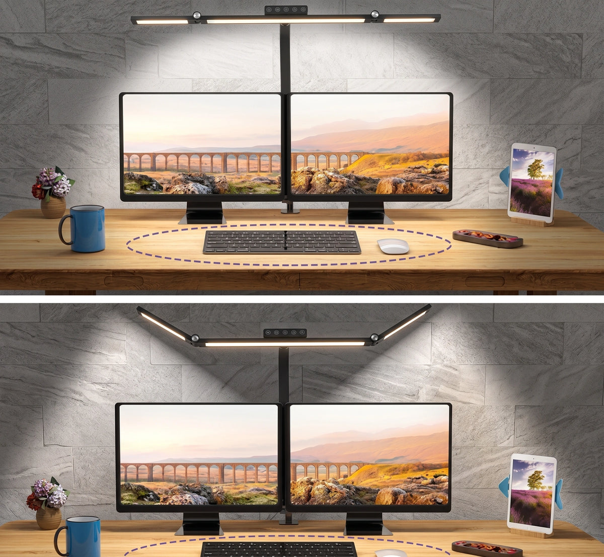 Premium Ultra-Wide Architect Desk Lamp | Dimmable Dual Head Monitor Light