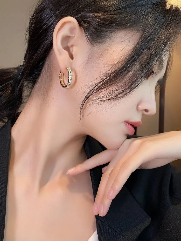 Korean Fashion Simple Zircon Metal Hoop Earrings - DROVA